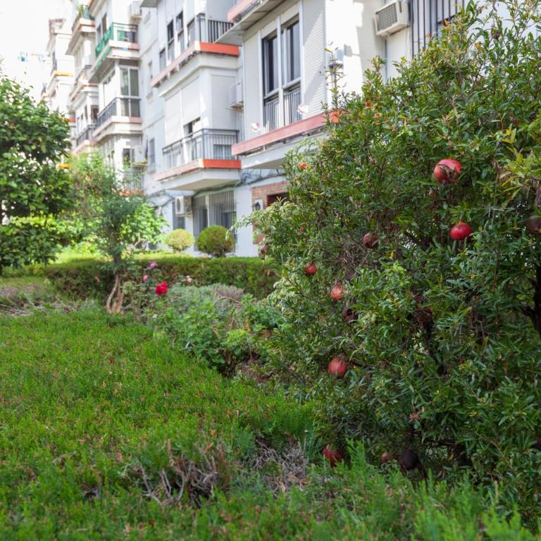 Fantastico apto recién 2 hab-Sevilla-Triana - Apartamento - 26