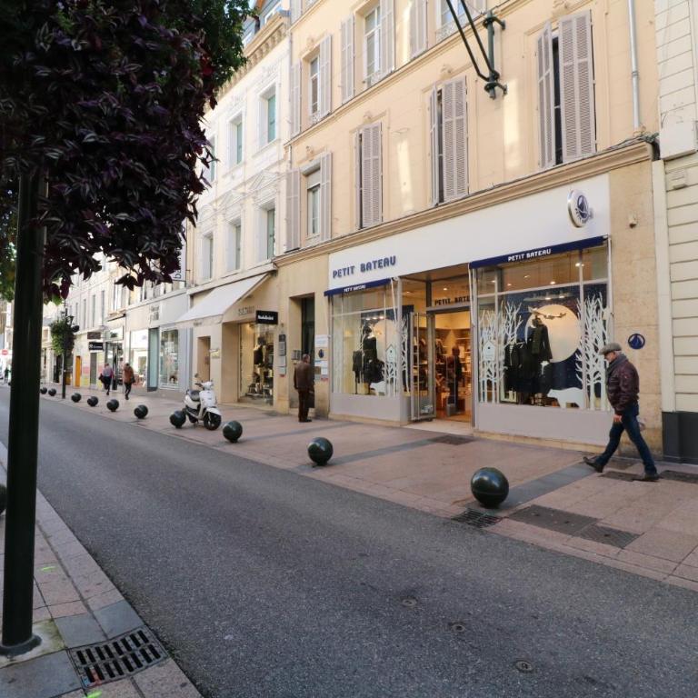 Luxury, central 3 bedroom, 3 bathrooms 5 mins from the Palais 410 - Appartement 3 Chambres - 24