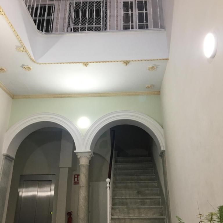 Apartamento nuevo en casa tipo palacio - Apartamento - 12