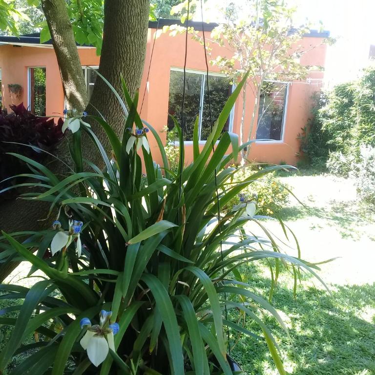 Posta Batata - Apartamento de 1 dormitorio - 9