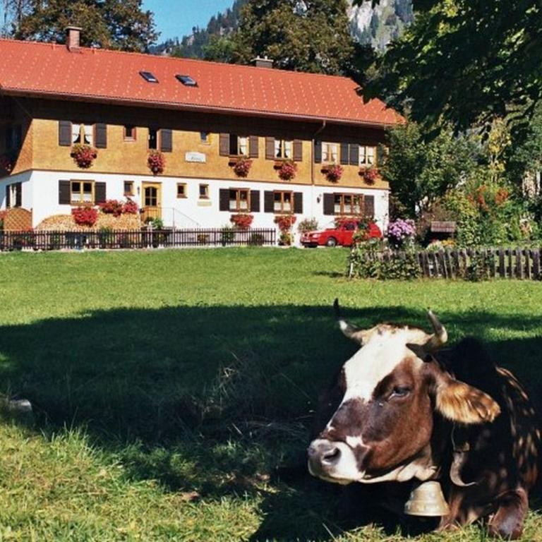 Gästehaus Hedwig - Apartment mit 2 Schlafzimmern - 1