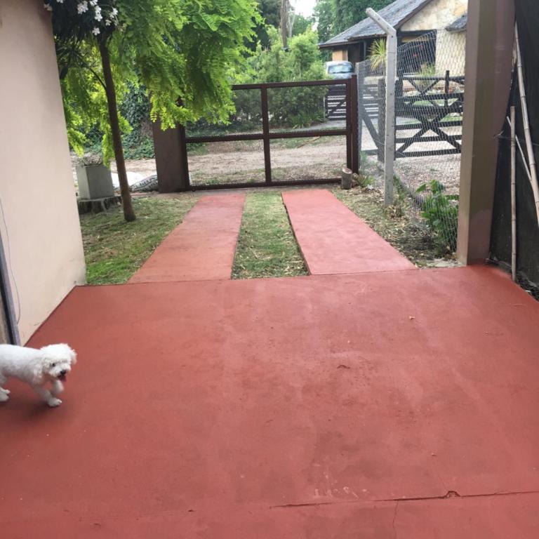 Los 3 Gringos Casa Bosque P Ramos - Vacation Home - 6