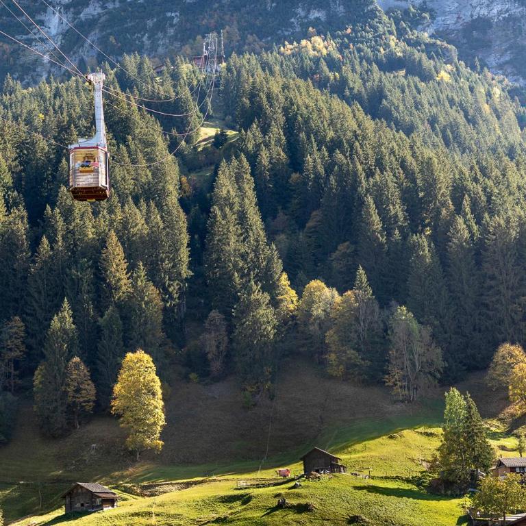 Chalet Wäschhüsli near Interlaken, Grindelwald and Lauterbrunnen - Chalet - 32