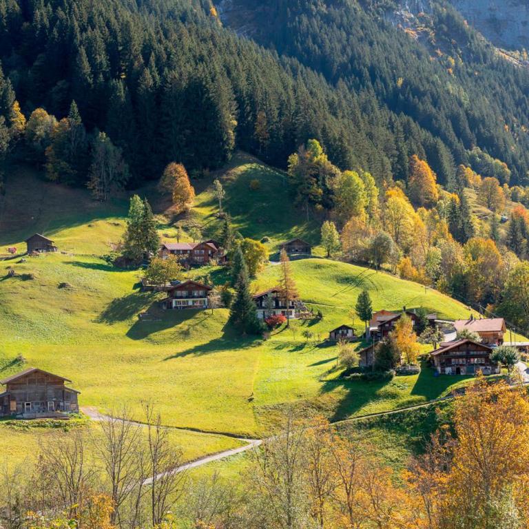 Chalet Wäschhüsli near Interlaken, Grindelwald and Lauterbrunnen - Chalet - 26