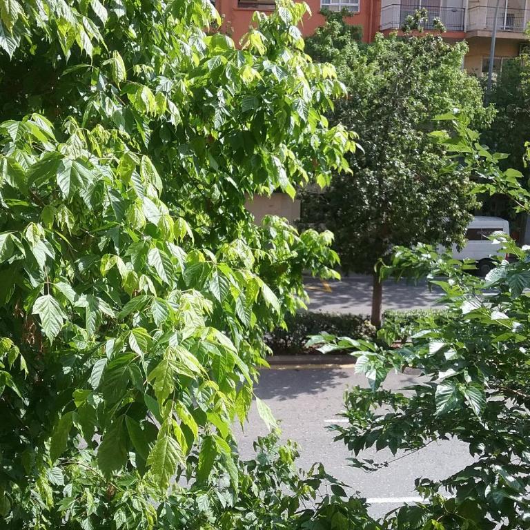 New Trendy apartment - Apartment - 23