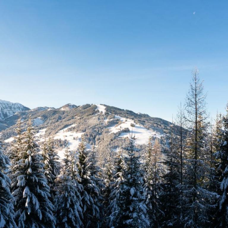 Designferienhaus Luxus Bergchalet XXL Ski In-Out Snow Space Wagrain Flachau - Deluxe Villa - 61