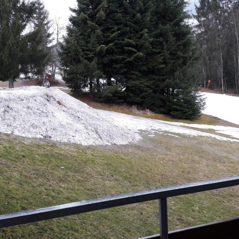 Berghof Appartement 11 - Studio-Apartment - 19