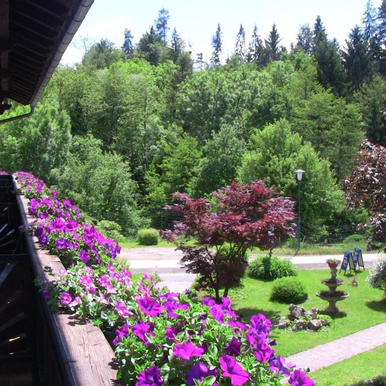Gasthof Waldwirt - Doppelzimmer - 3