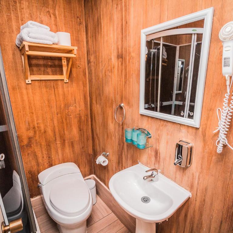 Hostal Chalet Las Violetas - Double Room with Private Bathroom - 1
