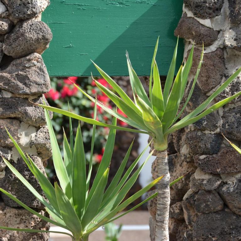 Ave Paraíso - Cozy and Sunny house - Two-Bedroom Apartment - 27