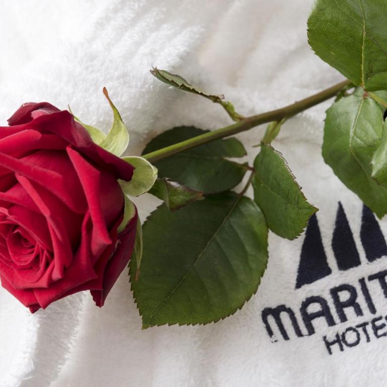 Maritim Hotel München - Classic Single Room - 1