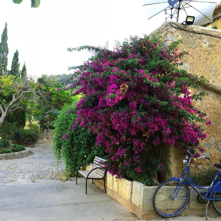 Finca CanFirella Portocolom - Casa - 38