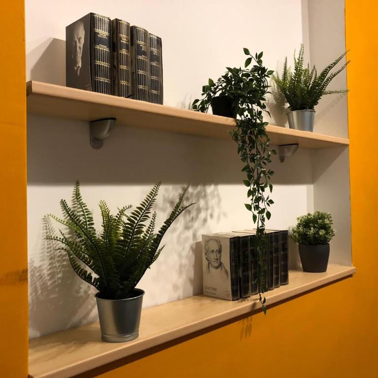 Residence Griffoni - Appartamento - 9