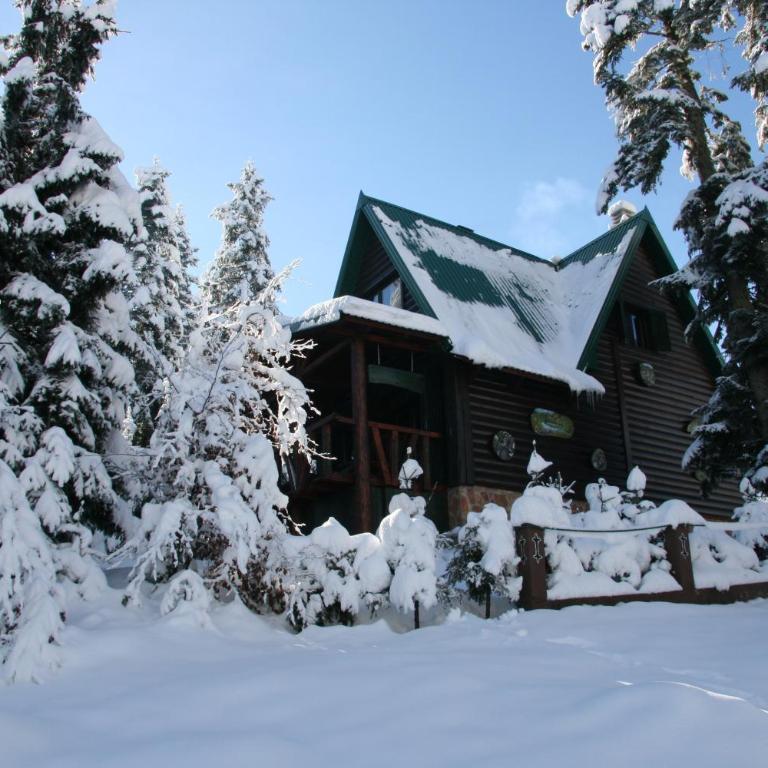 Durmitor Chalet - Three-Bedroom Chalet - 2