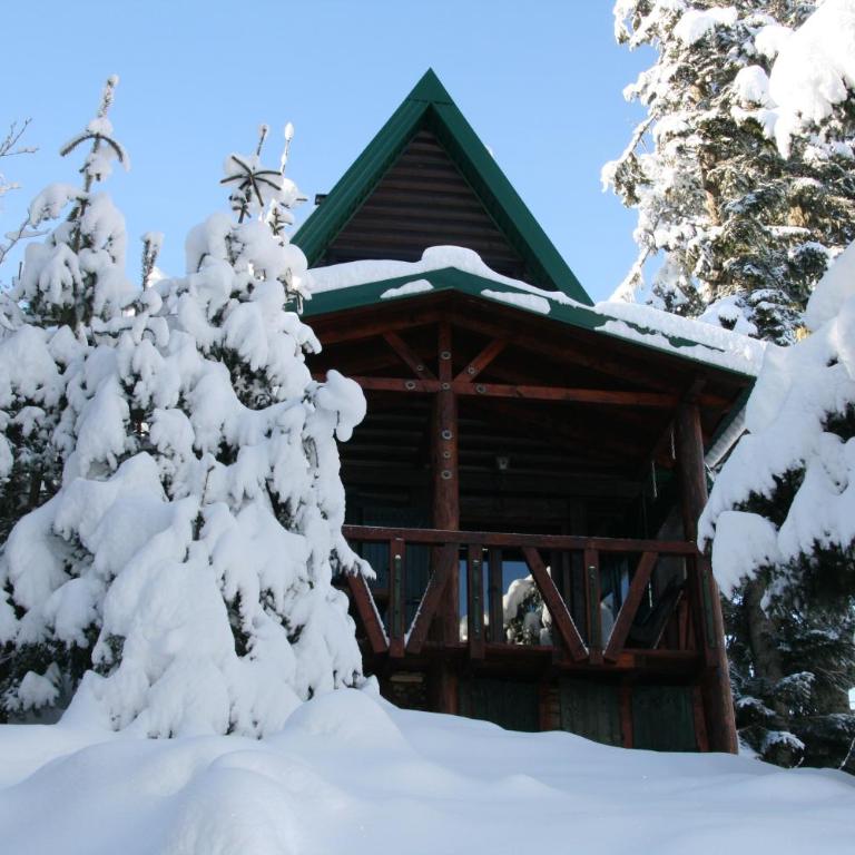 Durmitor Chalet - Three-Bedroom Chalet - 9