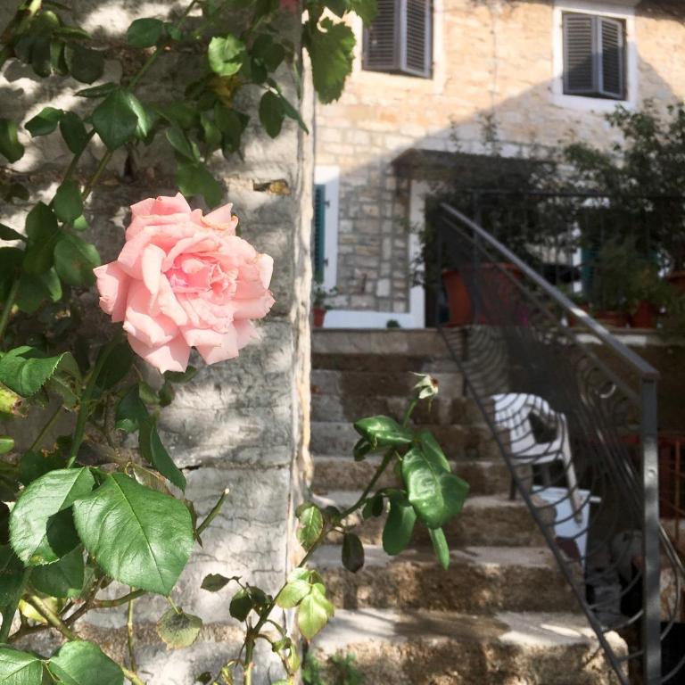 Oldhouse Vucinovic - Apartman - Prizemlje - 80