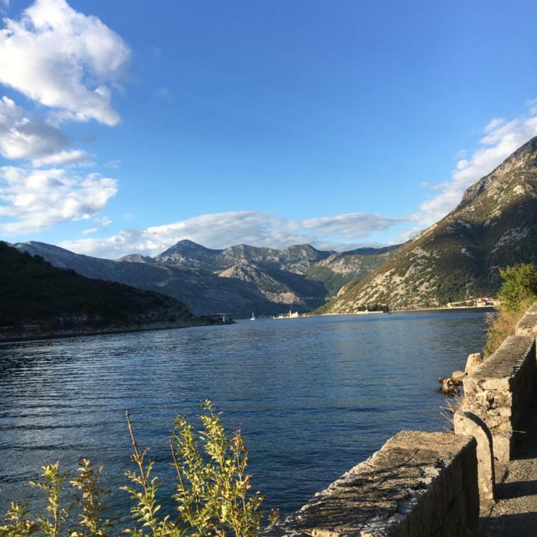 Oldhouse Vucinovic - Apartman - Prizemlje - 83