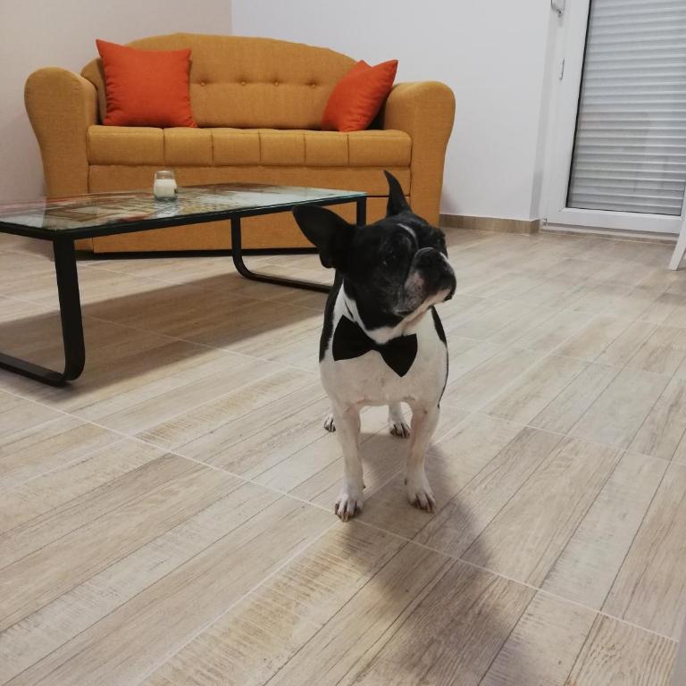 Airport view Apartment - Deluks Apartman - 11