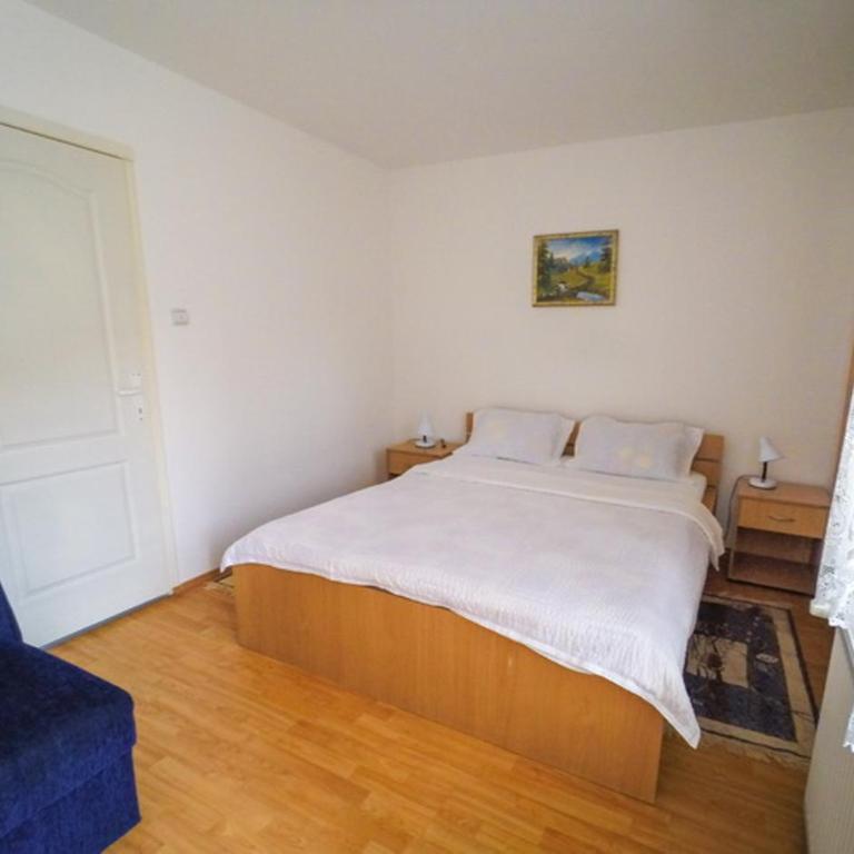 apartmani.miletic 1 - Apartment - 11