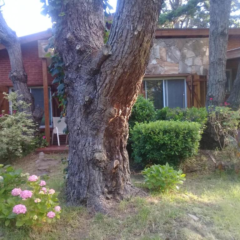 Sueños del Este - Casa de 2 dormitorios - 9