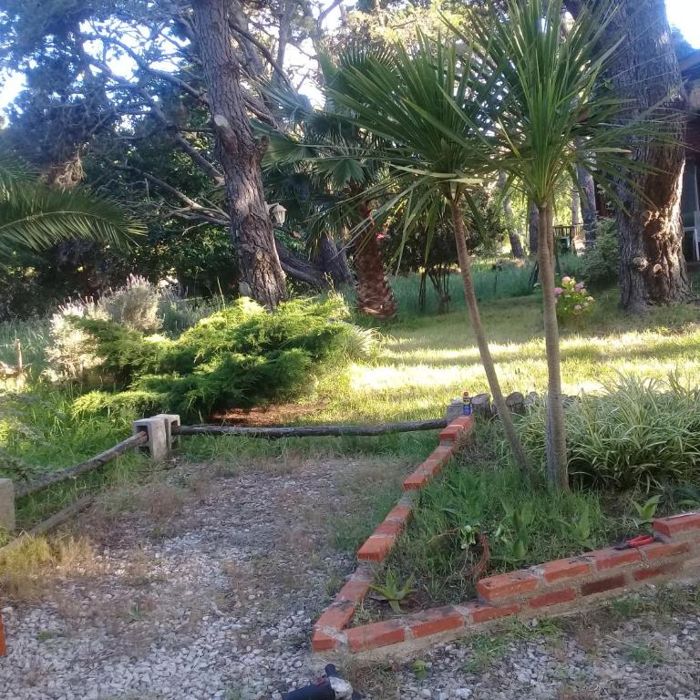 Sueños del Este - Casa de 2 dormitorios - 11