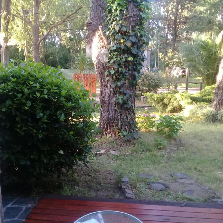 Sueños del Este - Casa de 2 dormitorios - 4