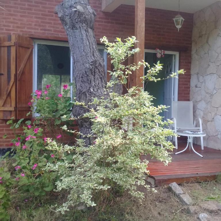 Sueños del Este - Casa de 2 dormitorios - 5