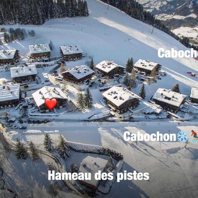 Appartement Hameau des Pistes - Ski-in and Ski-out - Appartamento con Vista Montagna - 20
