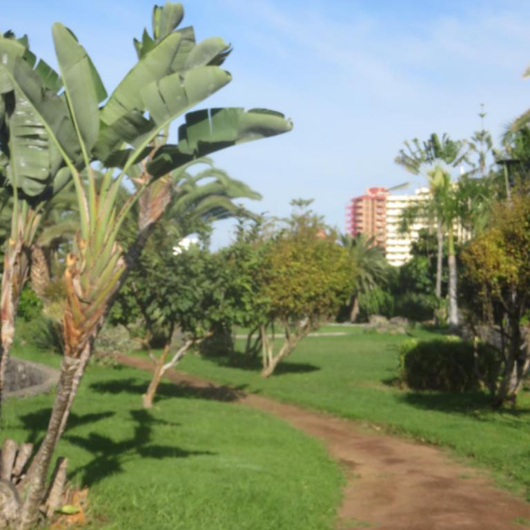 Céntrico Loft en el Puerto de la Cruz con Wifi y cerca de la playa - Apartamento - 30