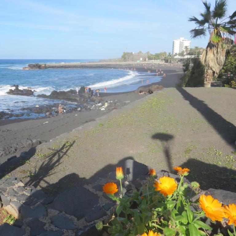 Céntrico Loft en el Puerto de la Cruz con Wifi y cerca de la playa - Apartamento - 27
