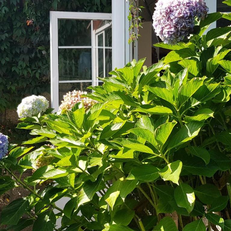 Casa Magda - Haus mit 3 Schlafzimmern und Gartenblick - 31