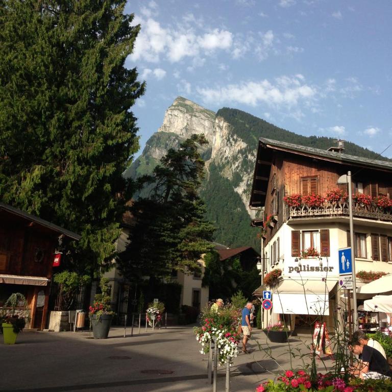 ECRINS ETOILE C9 - Apartment mit Blick auf die Berge - 26