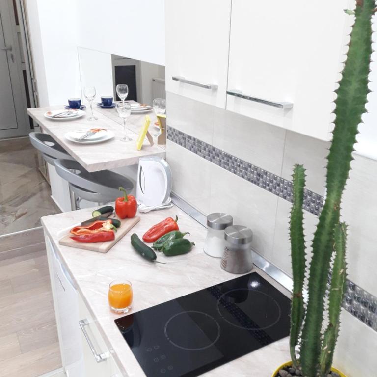 Abbazia Apartments Free Parking Near Center and Vrbas River - Studio Apartman - 31