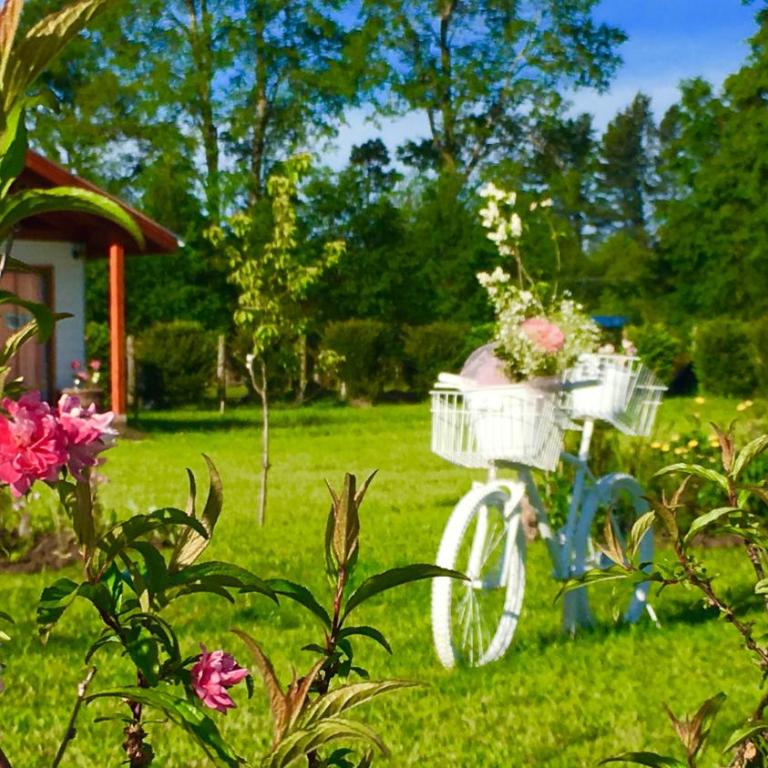 Arriendo de Cabañas con Piscina y Entorno Natural, Villarrica - Casa - 12