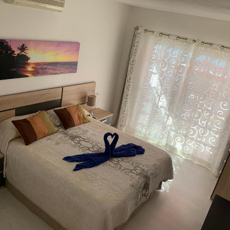 Los Cristianos Best Beach View - Apartamento - 43