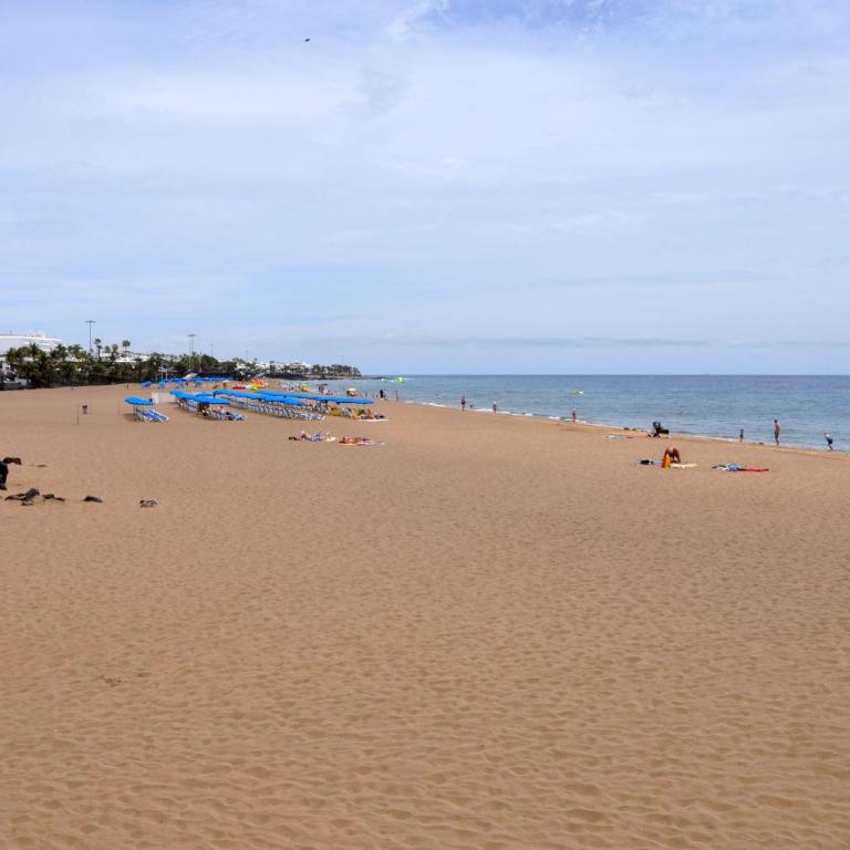 Ave Paraíso - Cozy and Sunny house - Two-Bedroom Apartment - 42