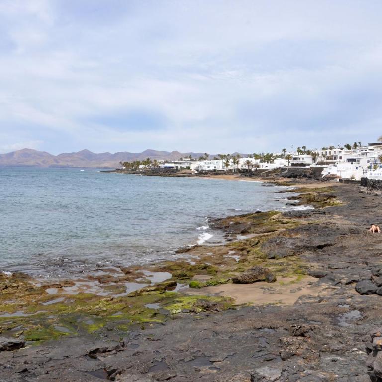 Ave Paraíso - Cozy and Sunny house - Two-Bedroom Apartment - 44
