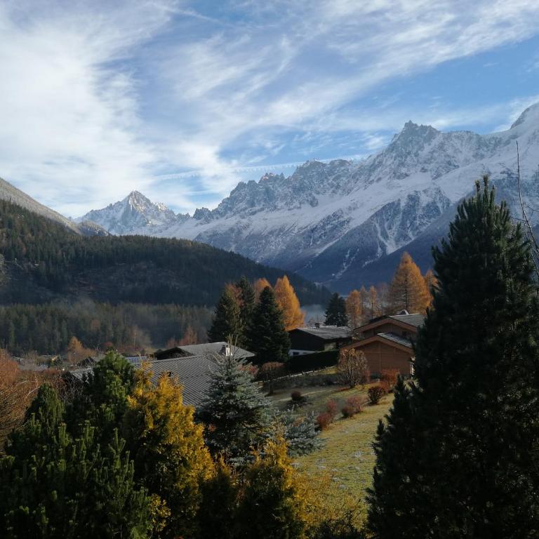 Thendia Montblanc - Chalet Supérieur - 85