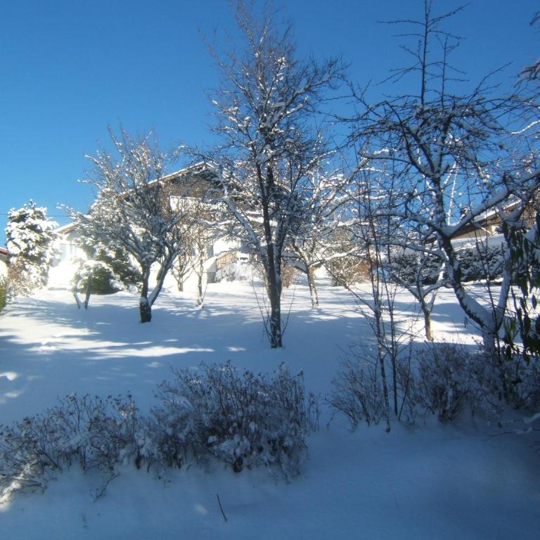La Maison Bel'Air - Maison de Vacances - 22