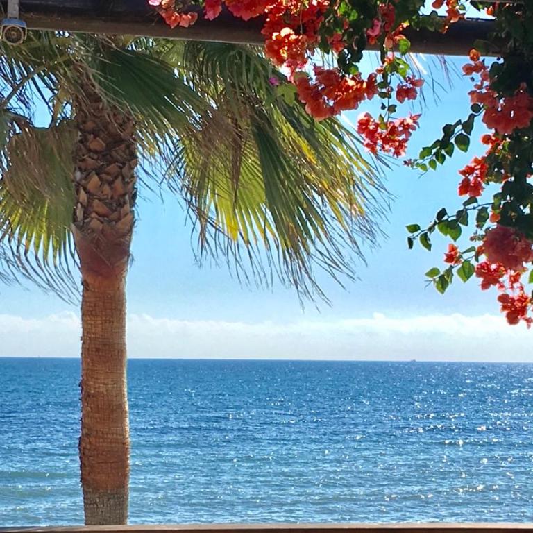 MI CAPRICHO 9C BEACHFRONT- Apartment with sea view - Costa del Sol - Apartamento - 39