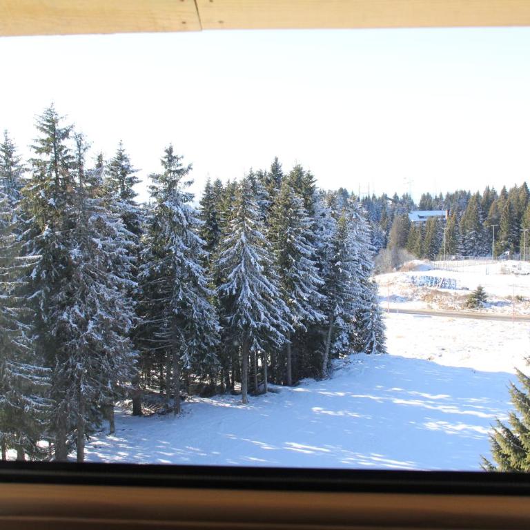 Kopaonik011 Konaci&WoodSide Apartments - Double Room - 26