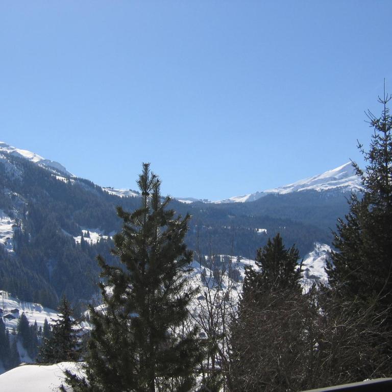 Casa Almis, Grindelwald - Apartment mit Blick auf die Berge - 14