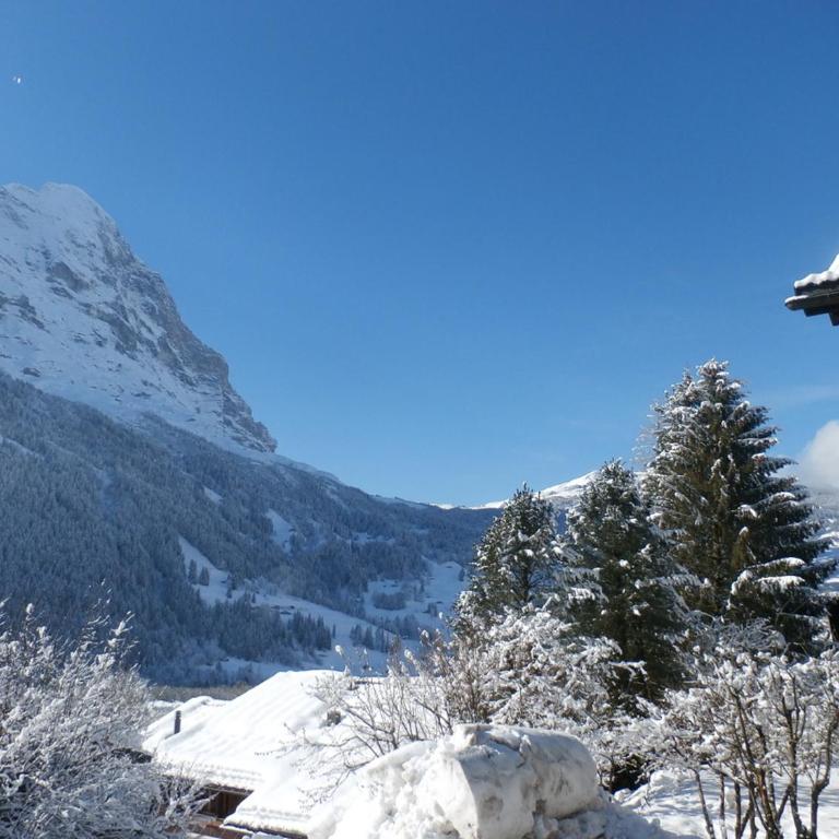 Casa Almis, Grindelwald - Apartment mit Blick auf die Berge - 17