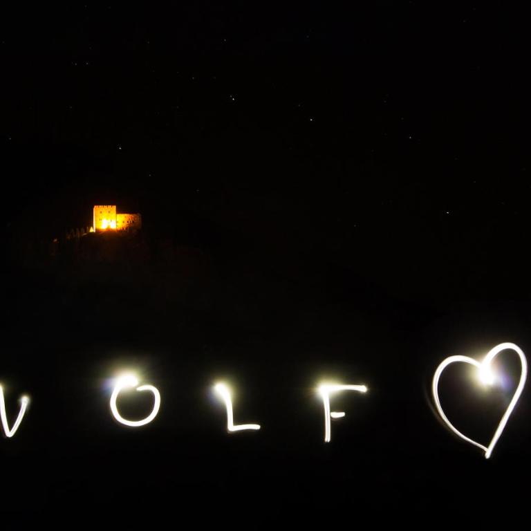 wolf.tirol - Apartment mit Terrasse - 4