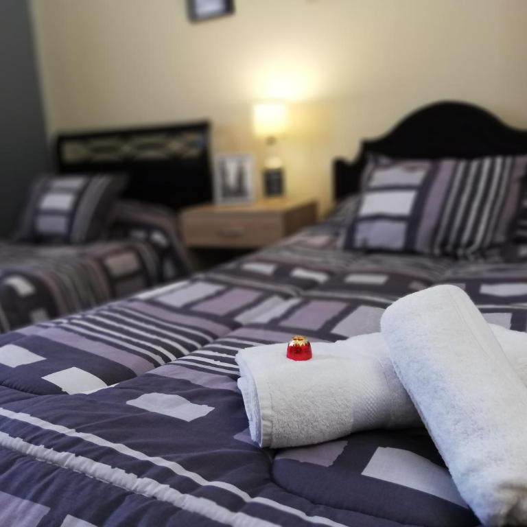 Casa Avenida Alemania - Twin Room - 4