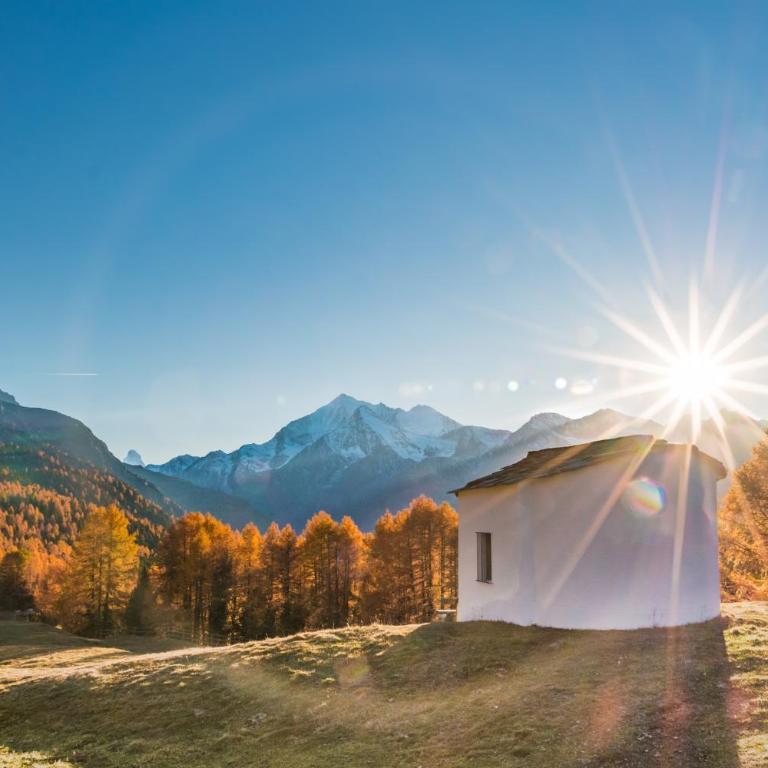 Chalet Heimetli - Appartamento con Vista Montagna - 10