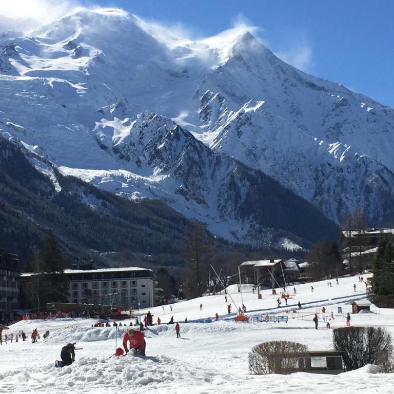Front Ski Slope Chamonix Apartment - Apartment with Mountain View - 41
