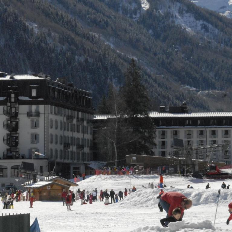 Front Ski Slope Chamonix Apartment - Apartment with Mountain View - 42