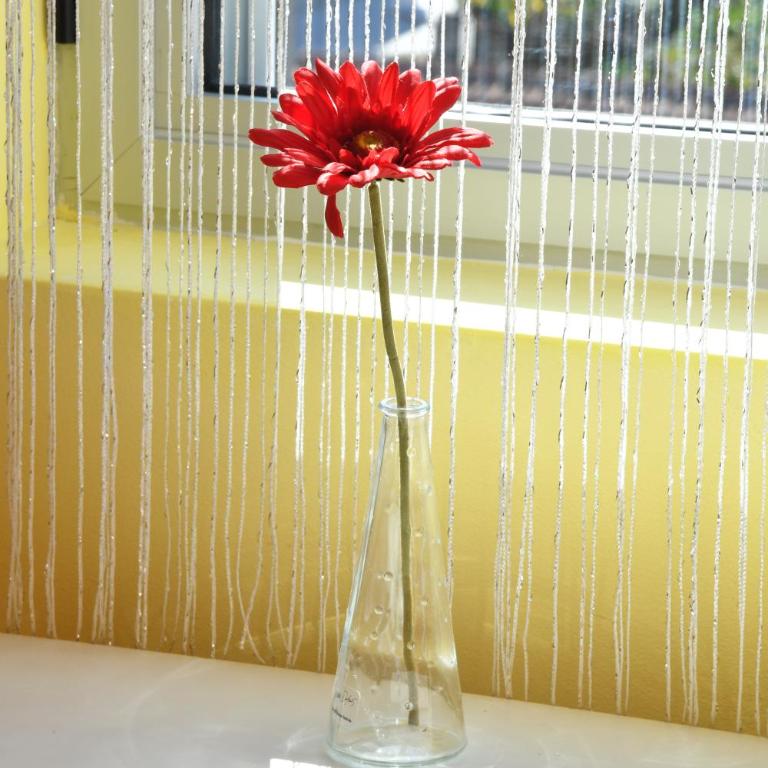 KAFA SA SLAVUJIMA free parking - Apartman sa 2 Spavaće Sobe - 3