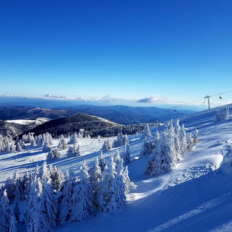 Milmari M18 Kopaonik - Tent - 49
